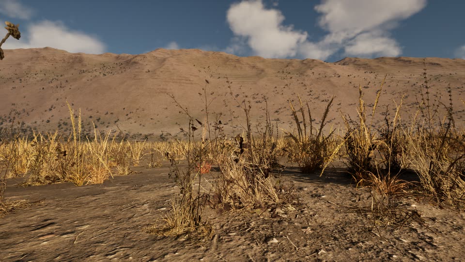 Low view through dry golden grass and weeds on bare earth toward a long folded limestone ridge under white clouds.